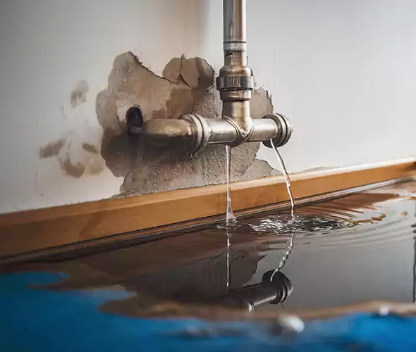 Professional Water Damage Restoration Experts in Newark, OH — Fast, Reliable & Certified