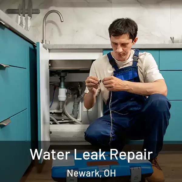  Water Leak Repair Newark, OH
